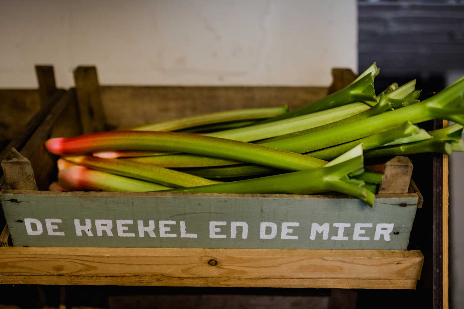 Het verhaal van biologisch tuinbedrijf Aardevol in Tongeren