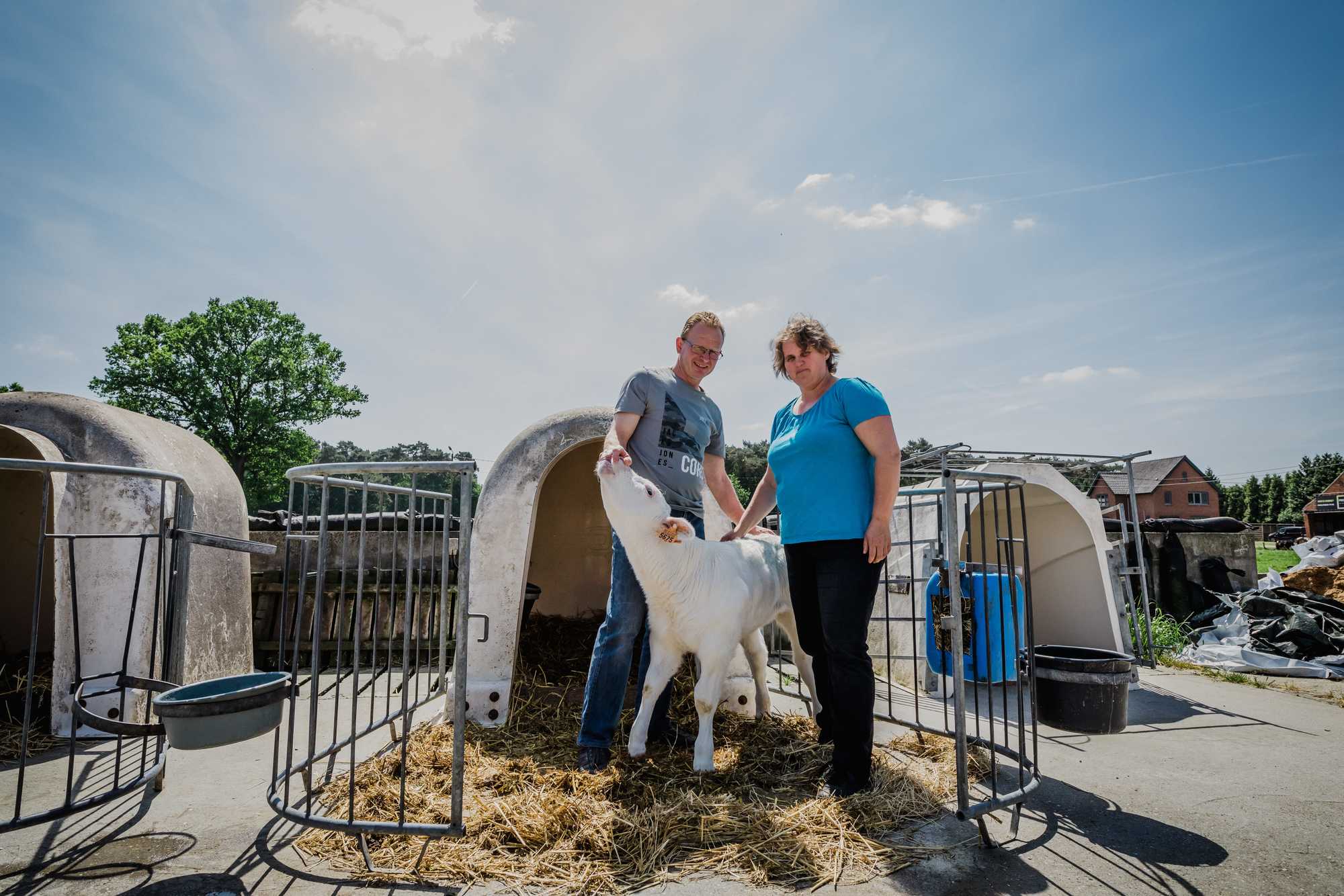 Het verhaal van hoeveslagerij Ter Hees in Zelem