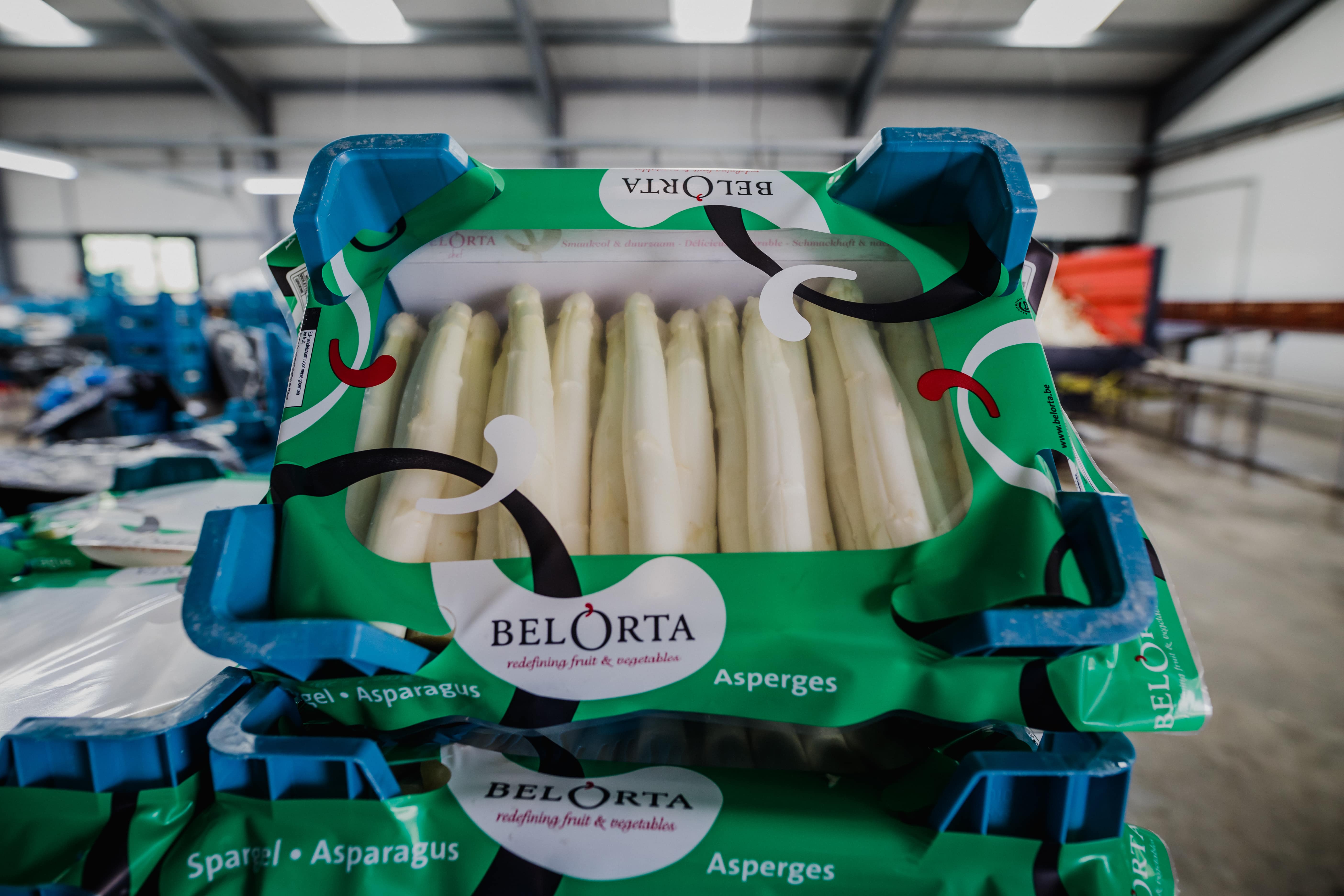 Het verhaal van de asperges van Bries-Tijskens in Peer