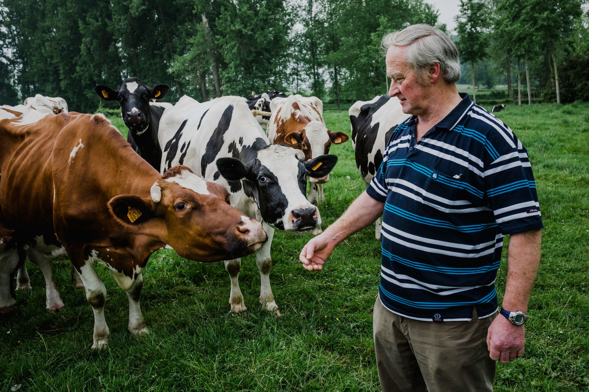 Het verhaal van aardappelproducent Hubrechts - Coenegrachts