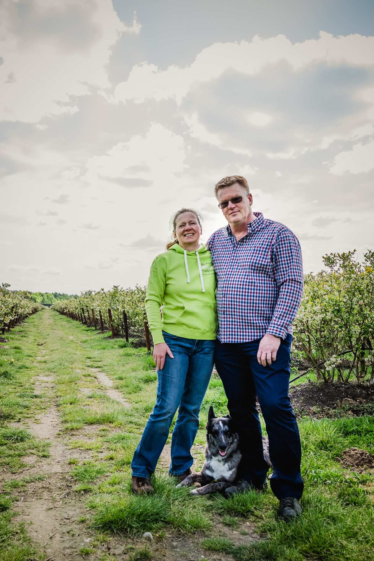 Het verhaal van blauwe bessenplantage Schrijnwerkers in Meeuwen-Gruitrode