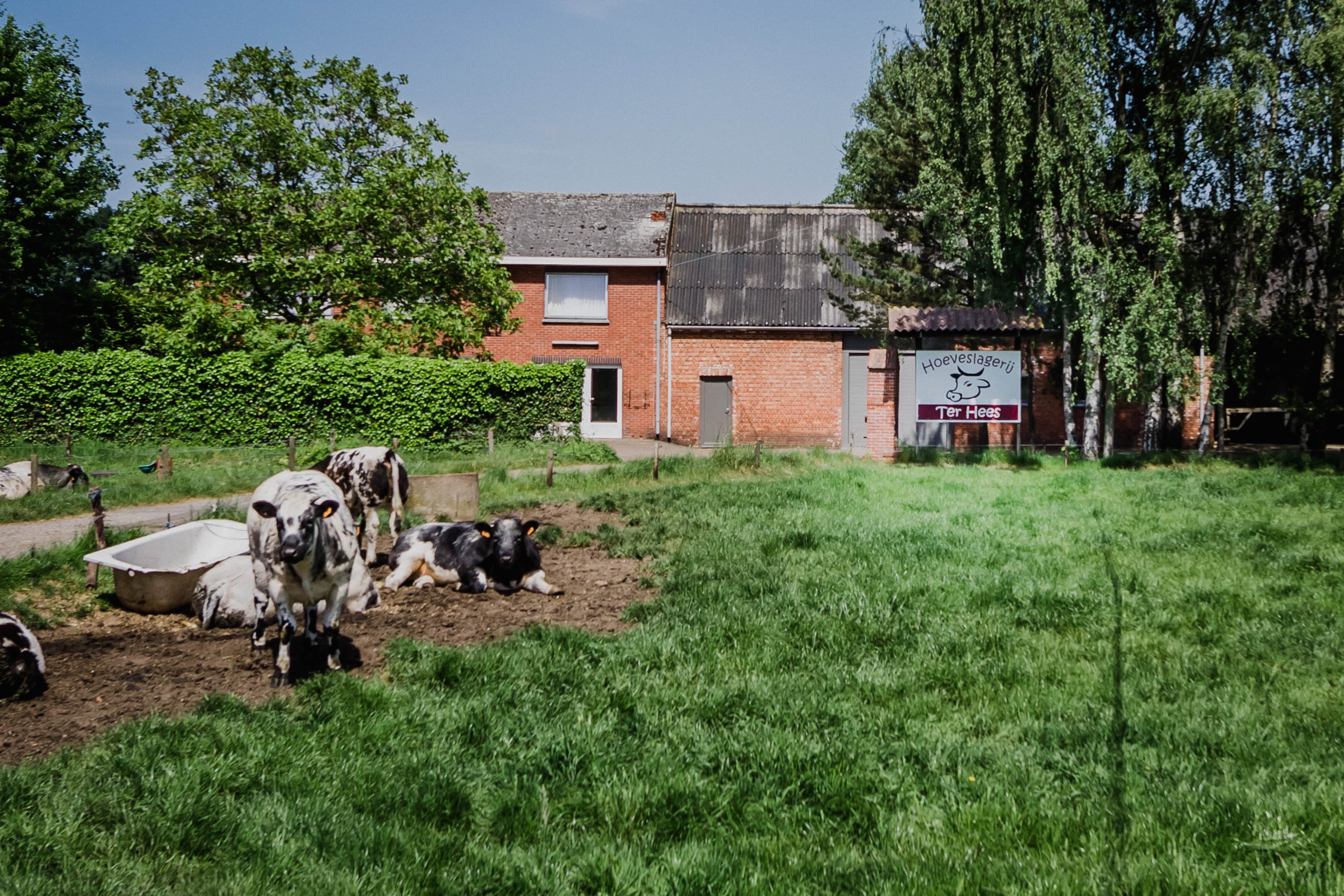 Het verhaal van hoeveslagerij Ter Hees in Zelem