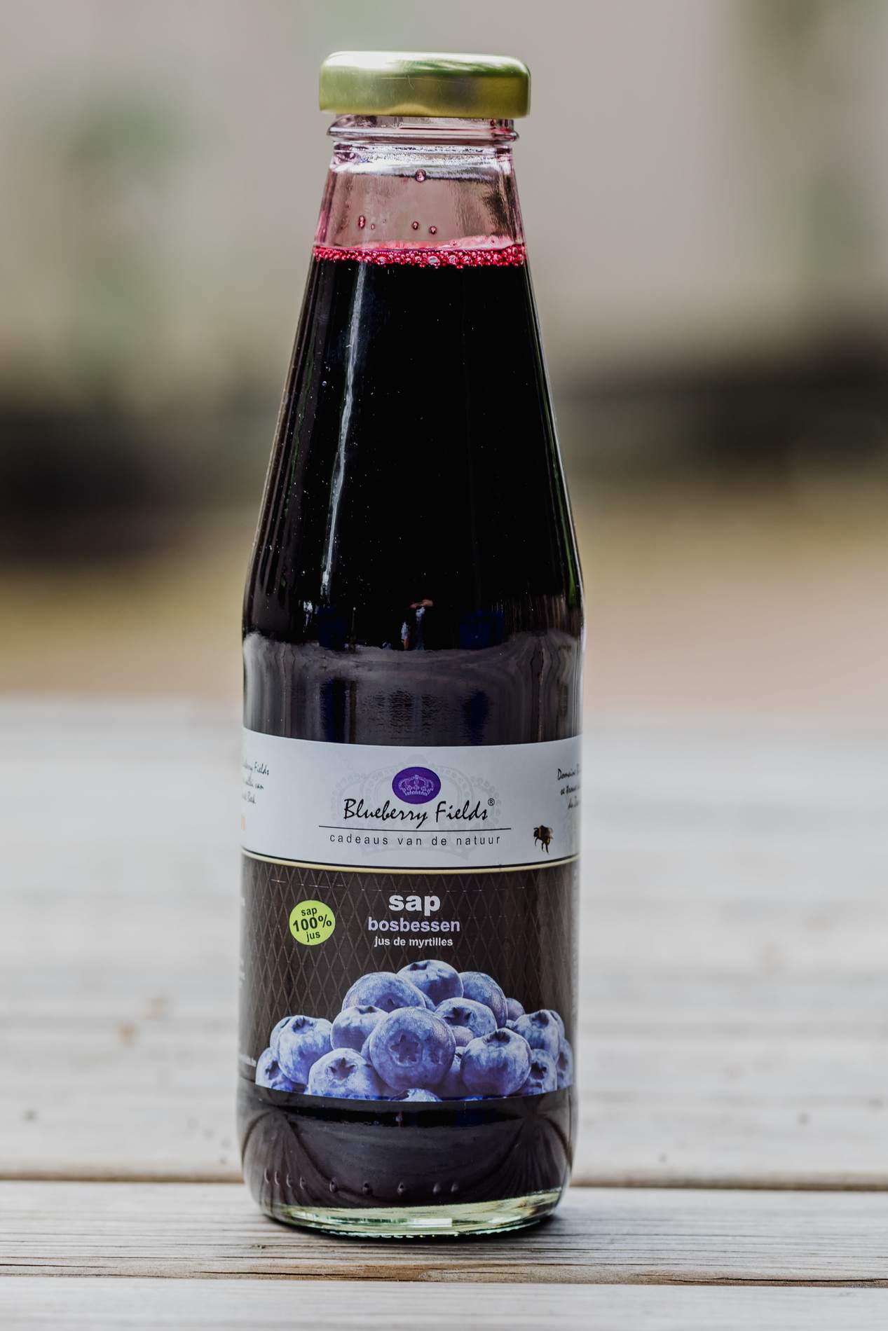 Het verhaal van Blueberry Fields in Koersel