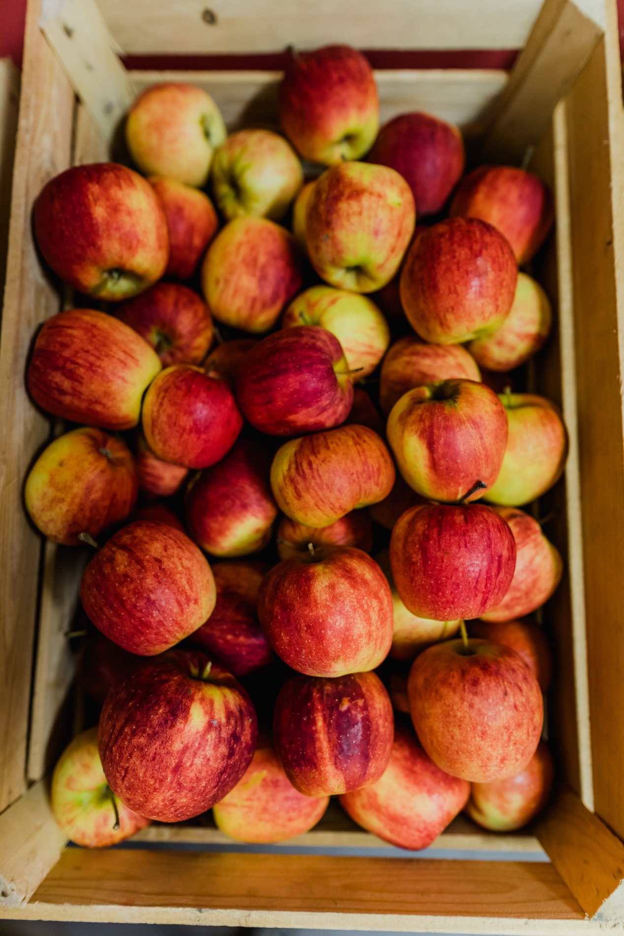 Het verhaal van PJ Fruit in Stevoort