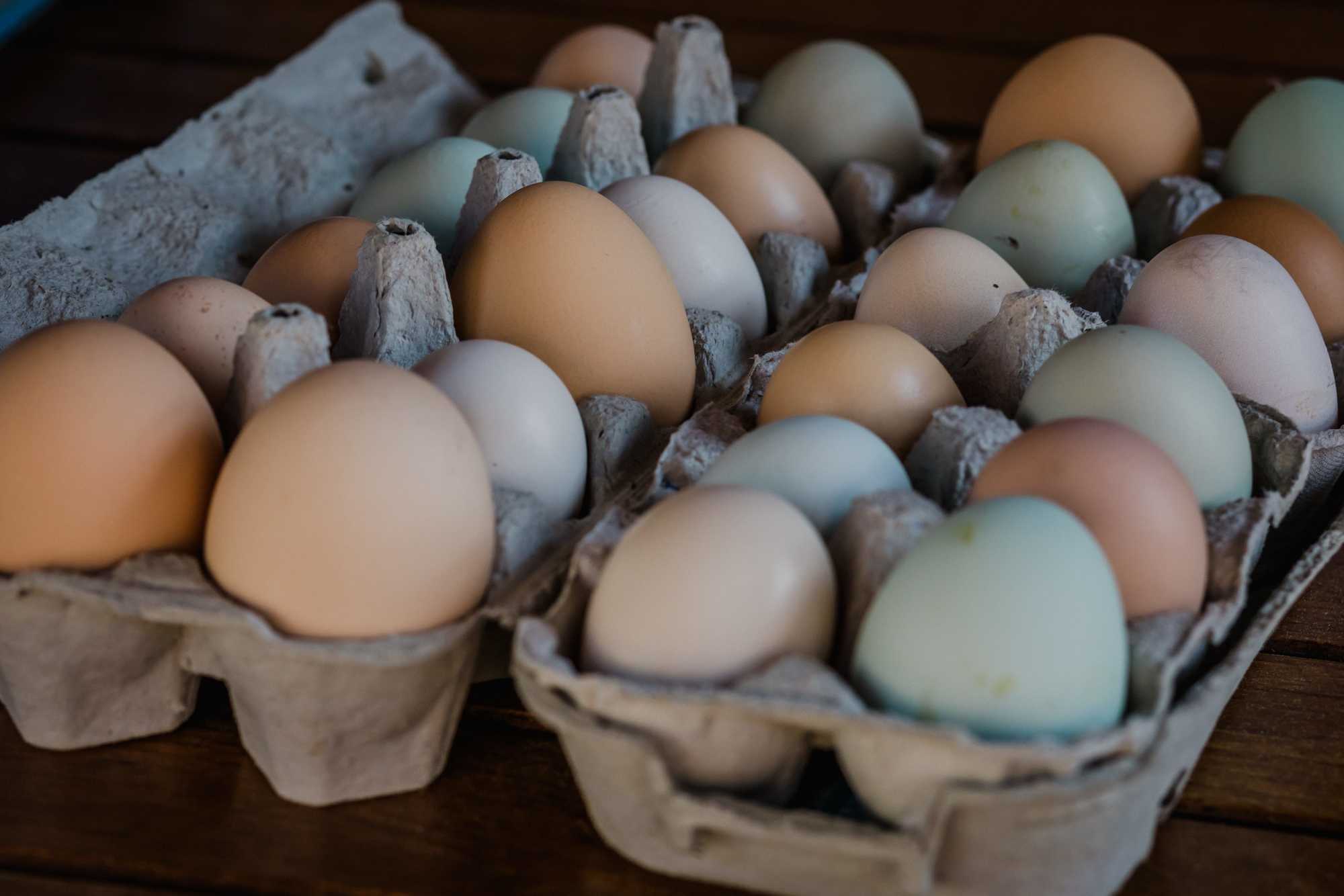 Het verhaal van aardappelboer De Nieuwe Winning