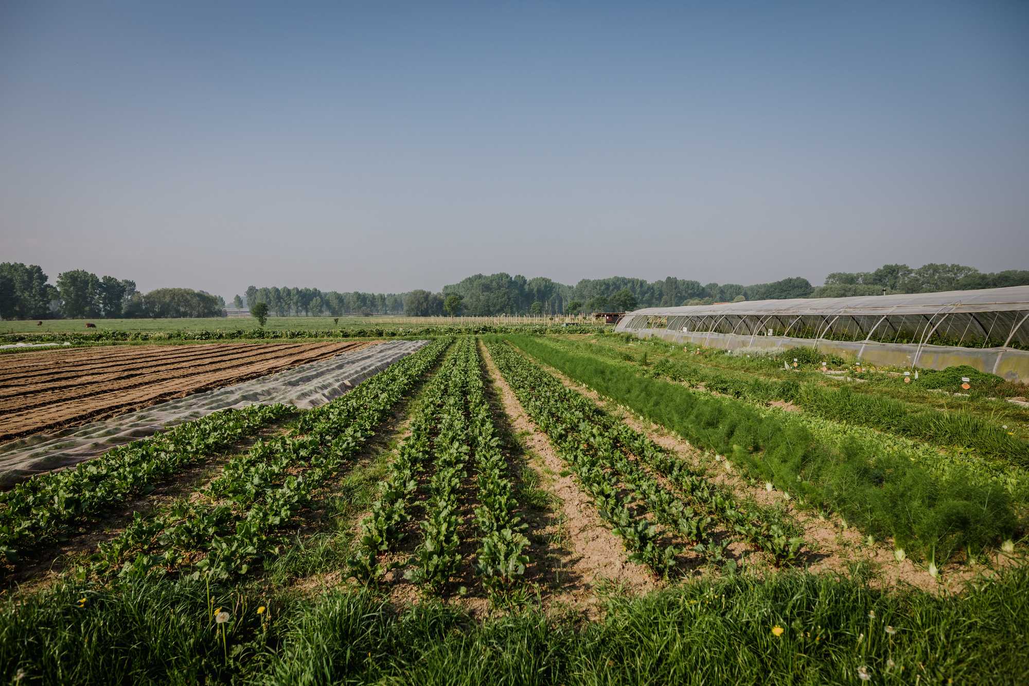Het verhaal van Hoeve Het Blokhuis in Herk-de-Stad
