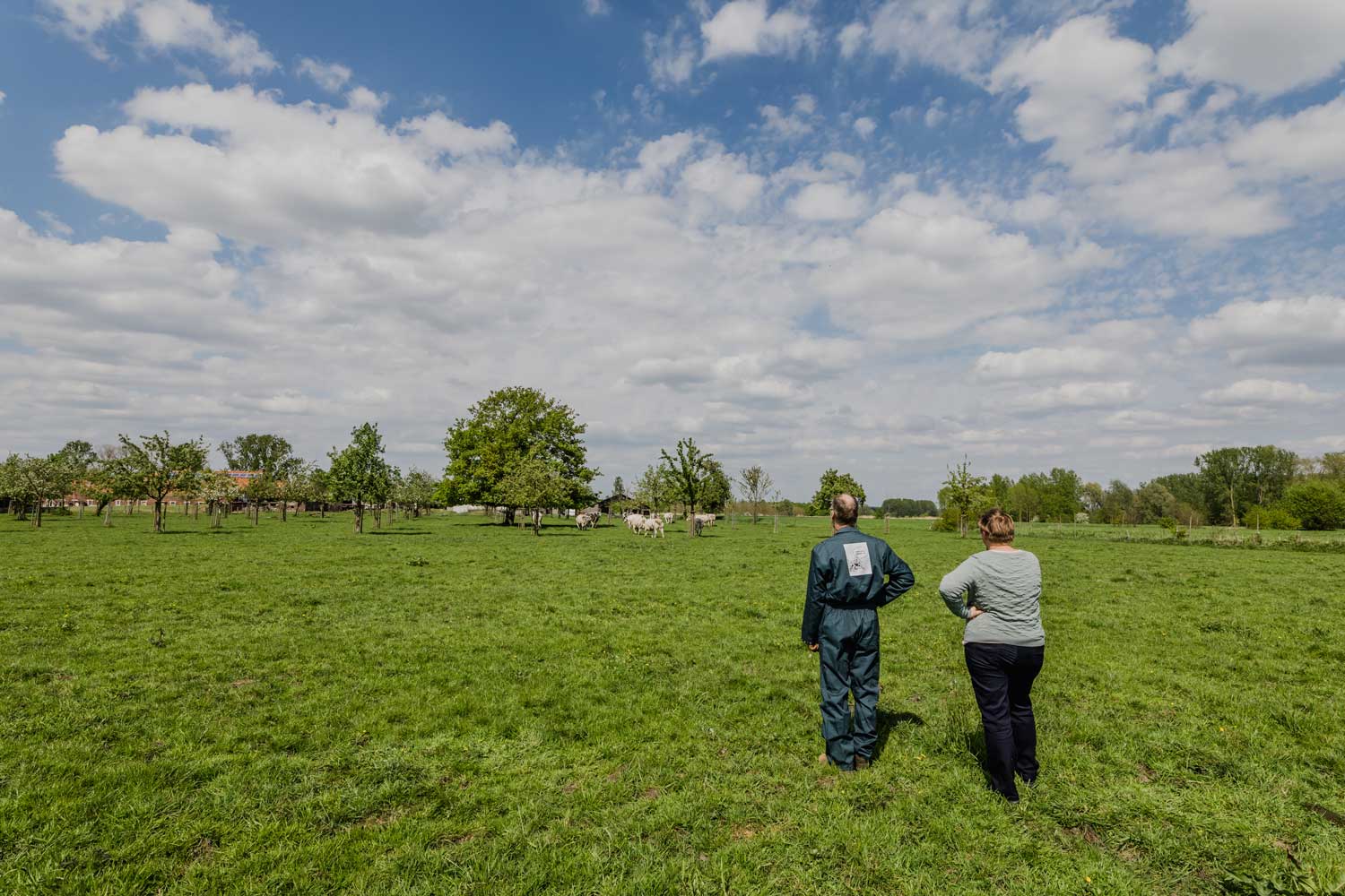 Het verhaal van Hoeve De Waterkant in Herk-de-Stad