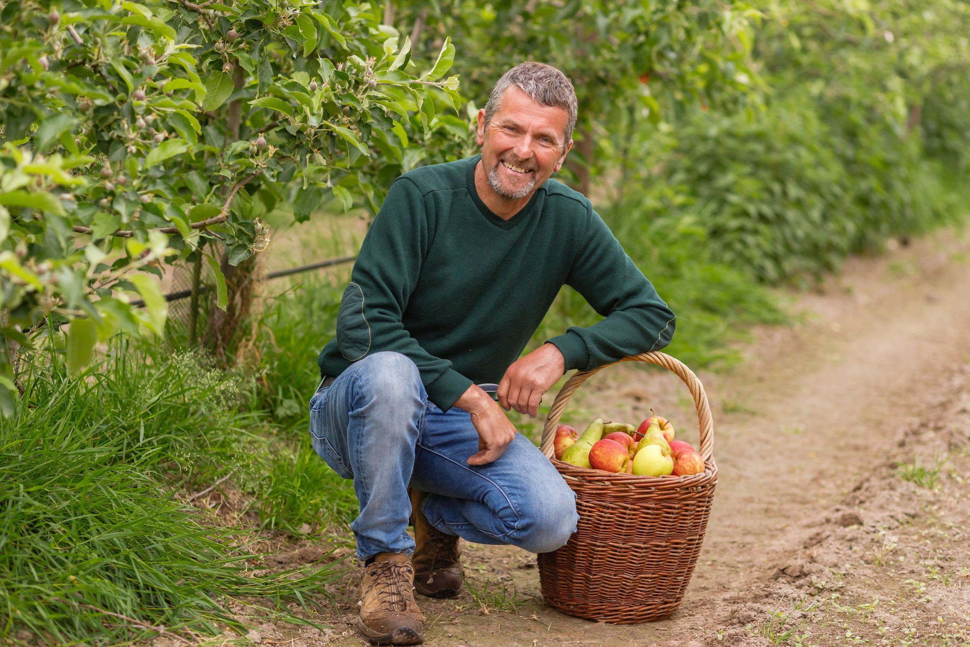 Het verhaal van het Jacobsfruit in Sint-Truiden