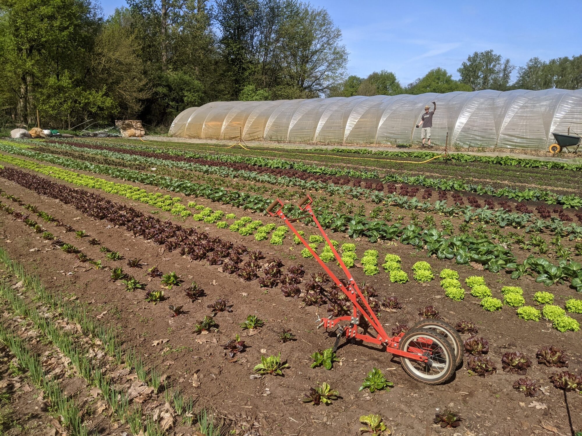 Het verhaal van Bioboerderij Mangelmoes