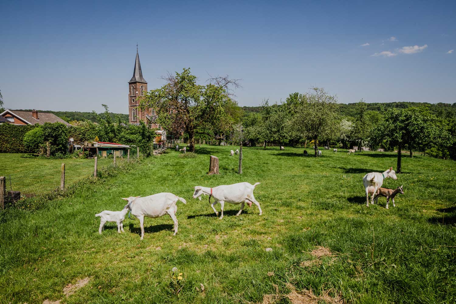Het verhaal van Mostert Hoeve in Teuven