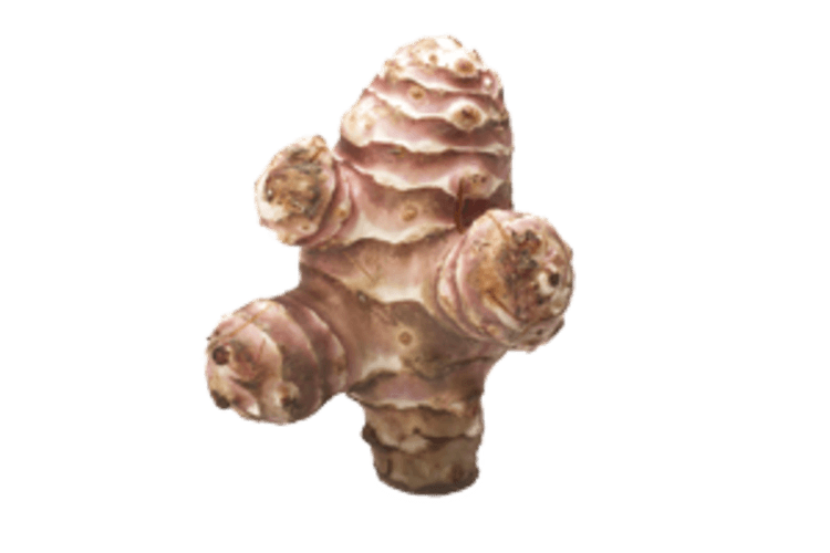Aardpeer