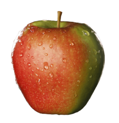 Belgica