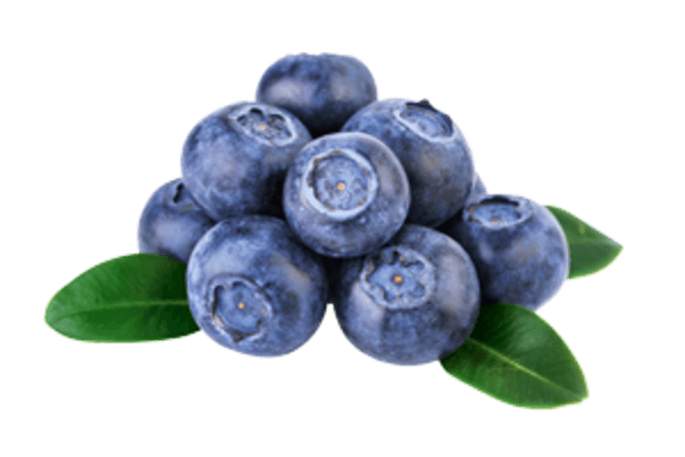 Blauwe bes
