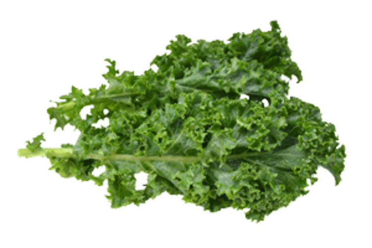 Boerenkool