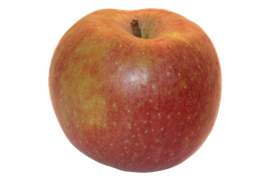 Boskoop