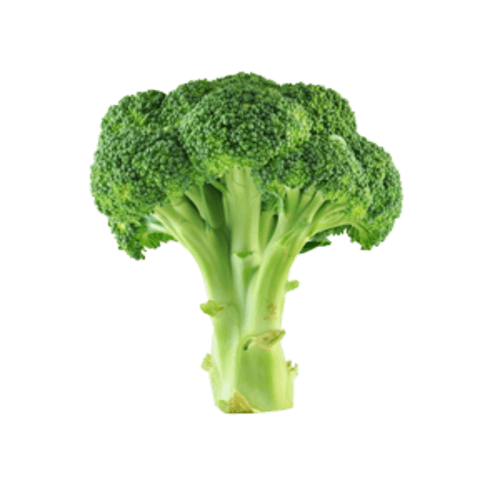 Broccoli