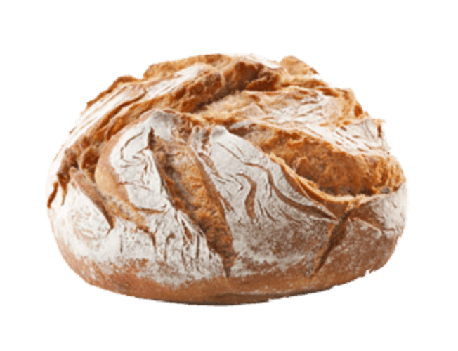 Brood