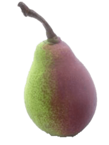Celina