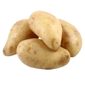 Cilena
