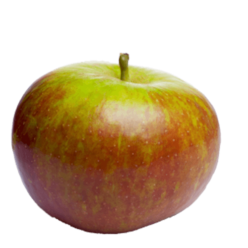 Cox's (Orange Pippin)