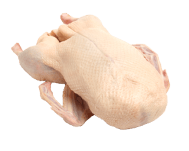 Eend