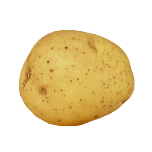Eigenheimer