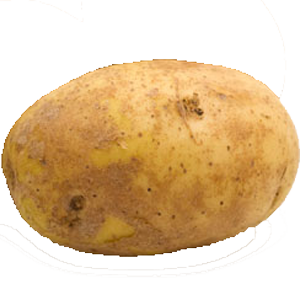Frieslander