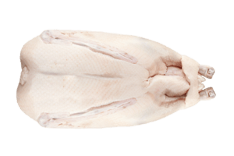 (Gans)