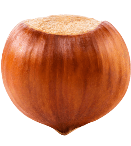 Hazelnoten