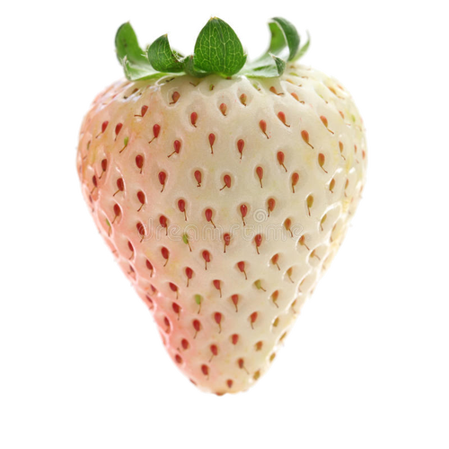 Witte aardbei