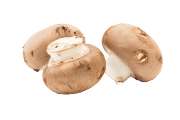 Kastanjechampignon