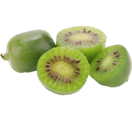 Kwiwibes