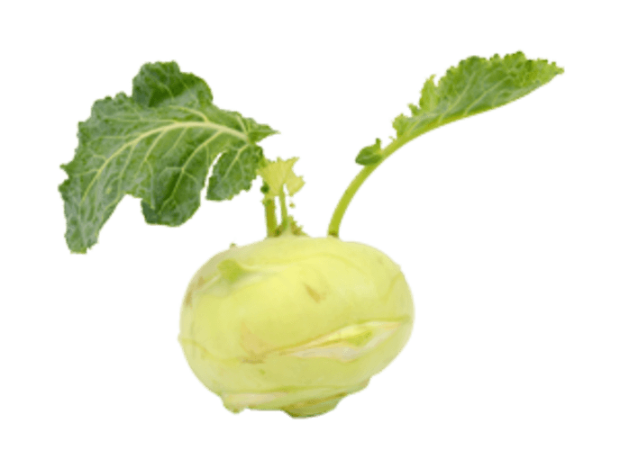 Koolrabi