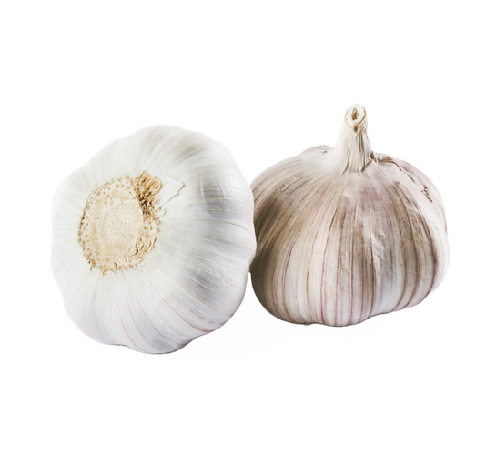 Knoflook