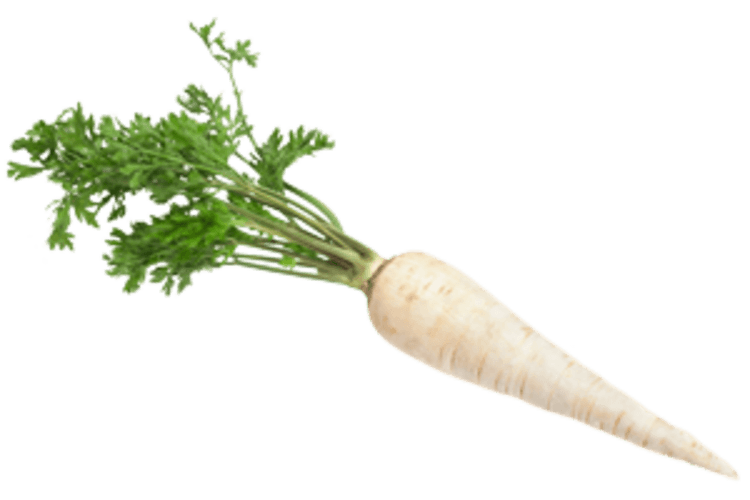 Pastinaak