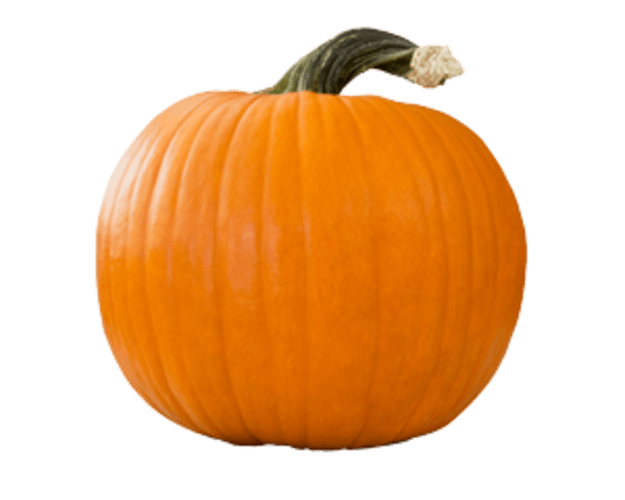 Pompoen