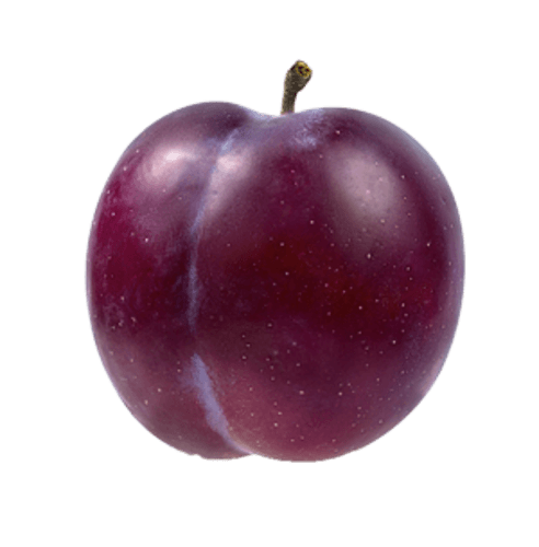 Pruimen