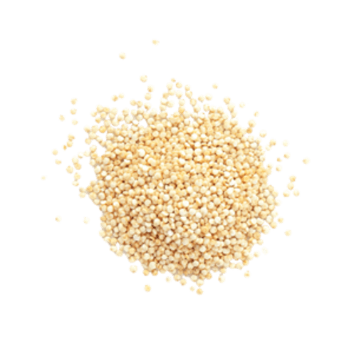 Quinoa