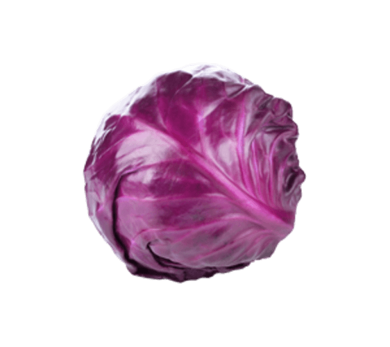 Rodekool