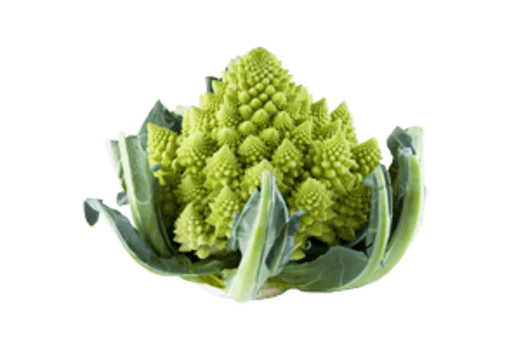 Romanesco