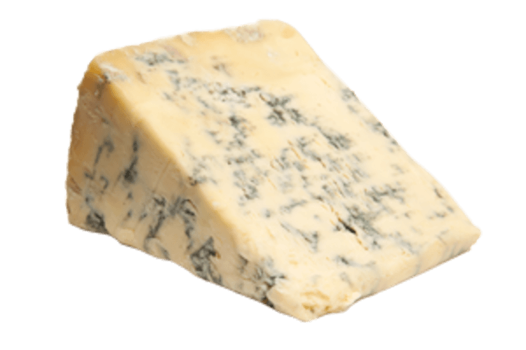 Schimmelkazen