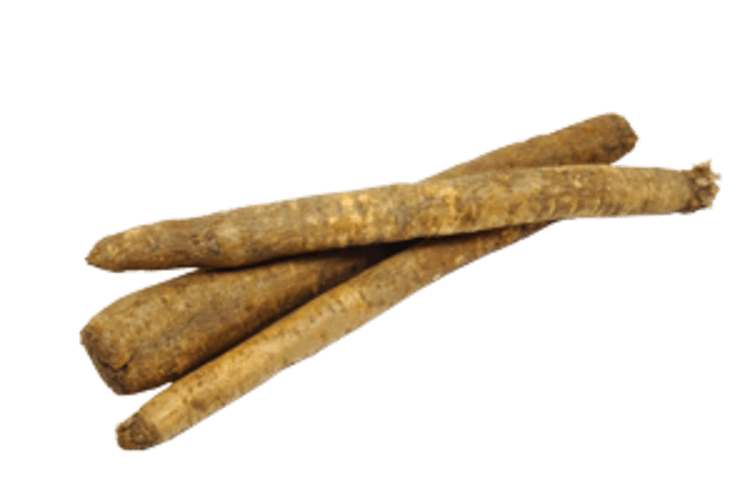 Schorseneer