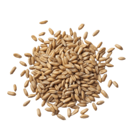 Spelt