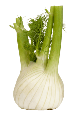 Venkel