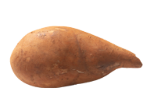 Yacón